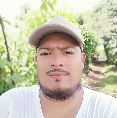 Ervin